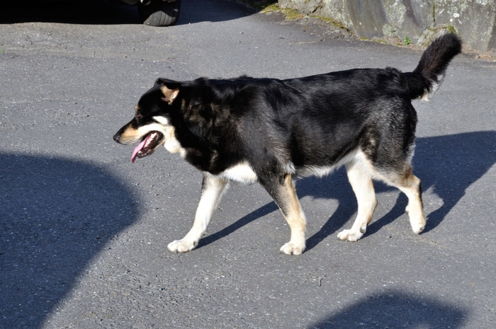 f0053218_2342754.jpg