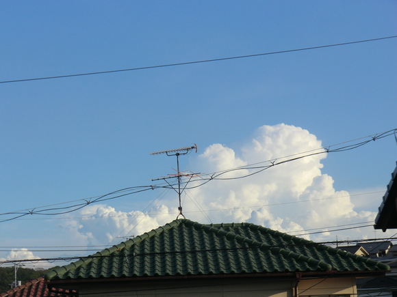b0163121_21491046.jpg