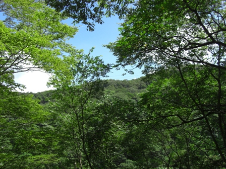 d0167621_08382.jpg