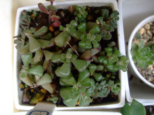 f0243726_11302975.jpg