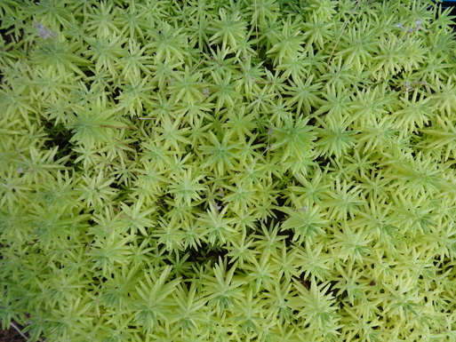 d0225727_829055.jpg