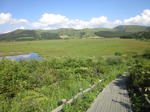 a0291132_1111543.jpg