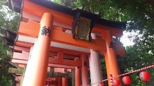 c0202832_313396.jpg
