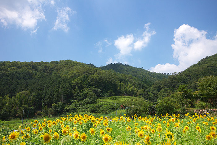 c0067040_22453531.jpg