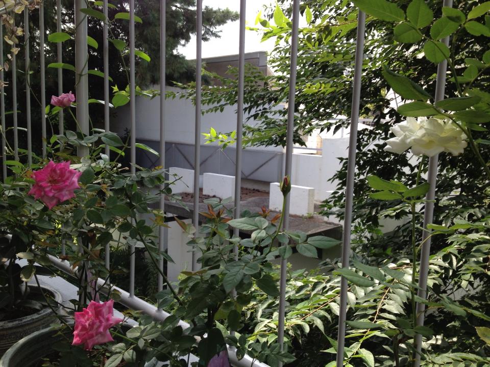 f0070743_1816284.jpg
