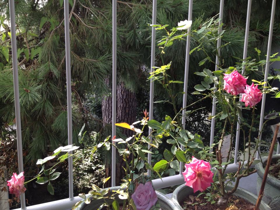 f0070743_18163747.jpg