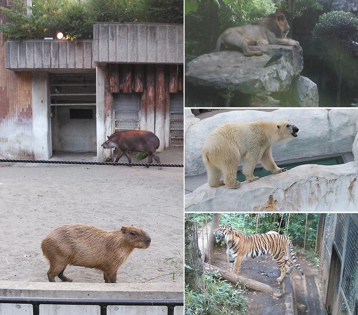 上野動物園_c0145750_11746.jpg