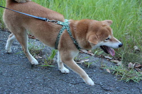 f0245650_752174.jpg