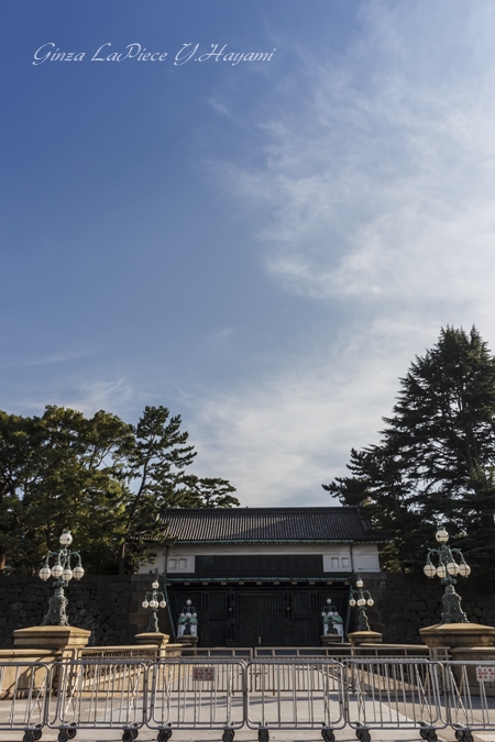 b0133053_0404559.jpg