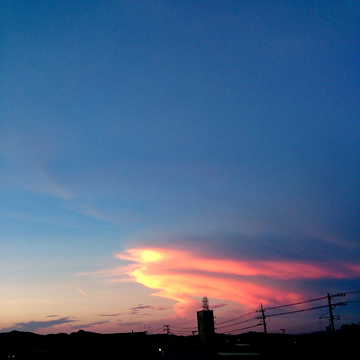 0821「賑やかに夏らしく」_d0233865_2330494.jpg