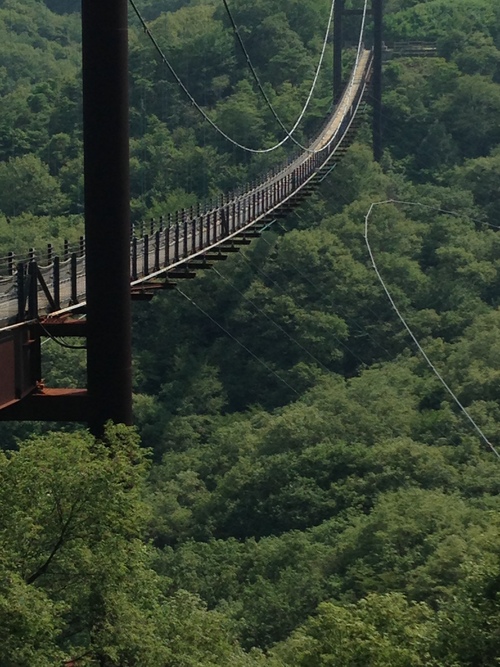e0292365_0205916.jpg