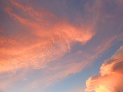 晩夏、紅の夕暮れ_e0175370_22332973.jpg