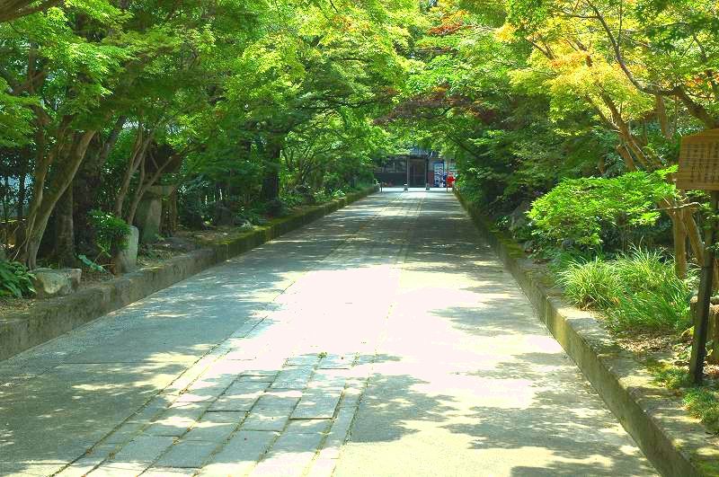 山口県立美術館をあとにして、【大内氏館跡】へ_d0061579_630373.jpg