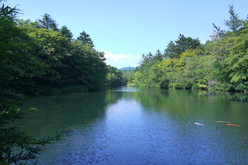 軽井沢一泊旅行 秋吉由紀子のユキネコブログ 軽井沢一泊旅行 秋吉由紀子のユキネコブログ