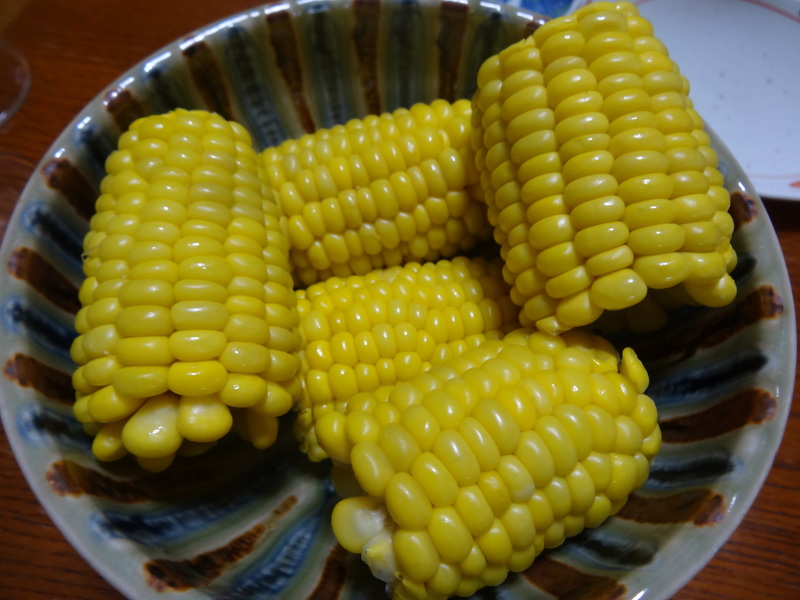 ビーフシチュー、鮭の中骨缶詰、豚バラ肉の水煮、蛸のカルパッチョ、_c0225997_6202577.jpg