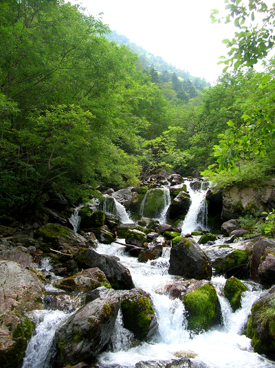 a0019601_1852544.jpg
