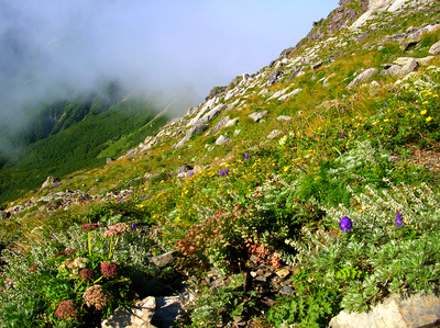 a0019601_2129070.jpg