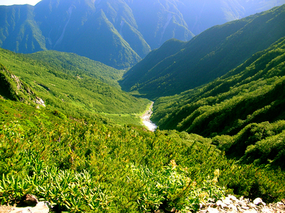 a0019601_21294250.jpg