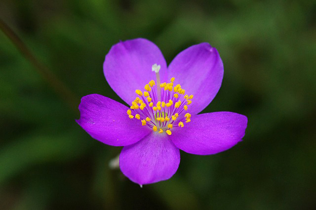 e0039703_22141520.jpg
