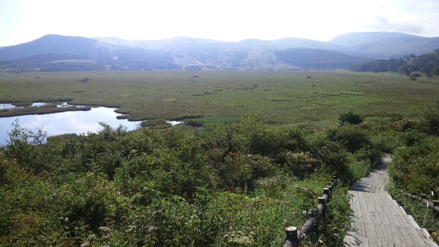 f0155808_16275311.jpg