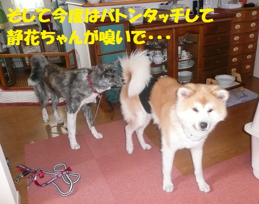 f0121712_15393353.jpg