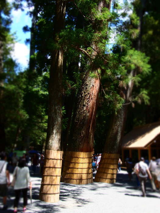 b0244424_814698.jpg