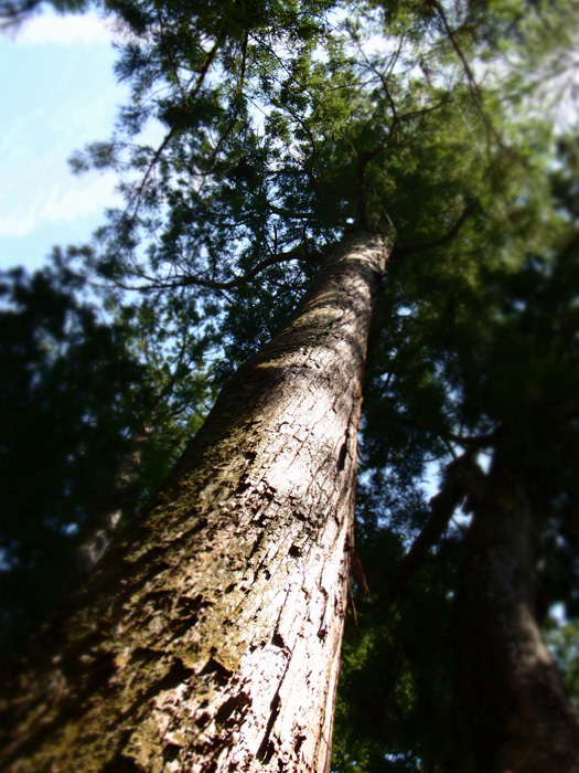 b0244424_83159.jpg