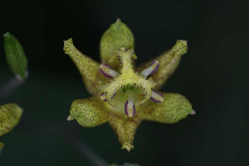 d0054625_22441548.jpg