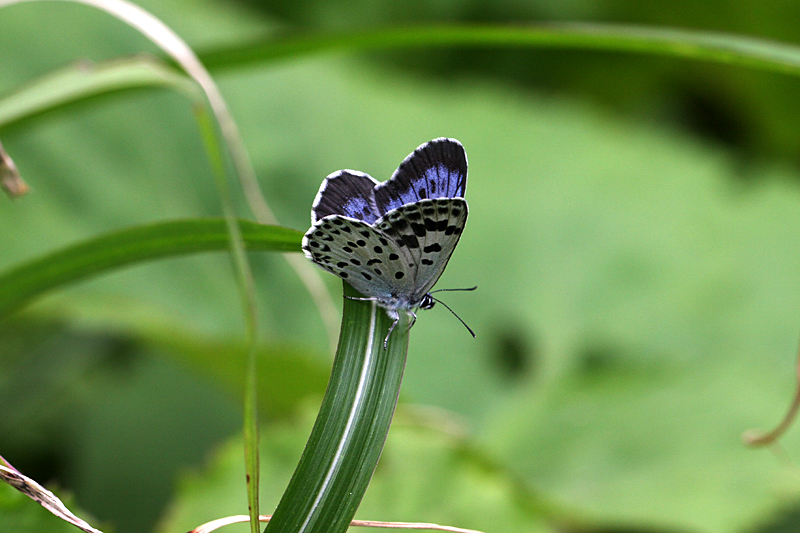 d0054625_22481759.jpg