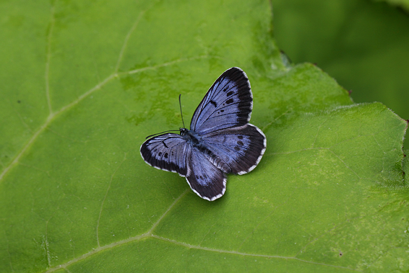 d0054625_2257012.jpg