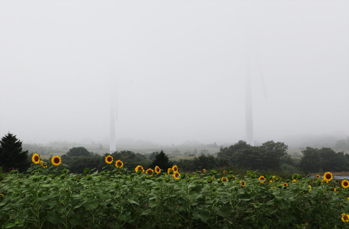 福島県郡山市 「布引高原」の晩夏の風景_d0106628_18543413.jpg