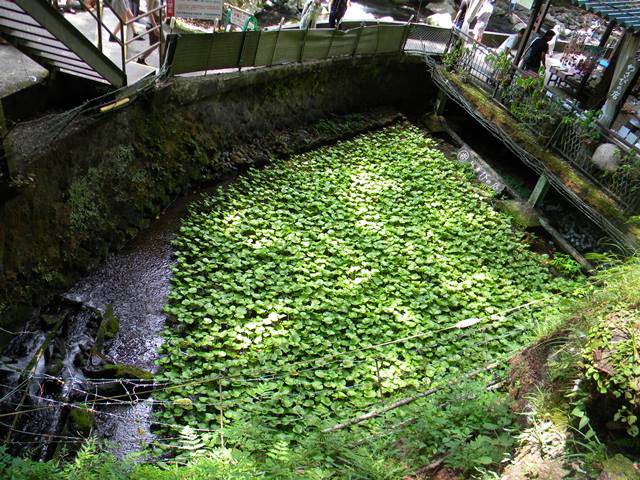 a0265838_1413598.jpg