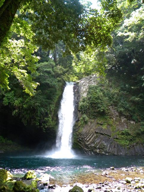 a0265838_1472262.jpg