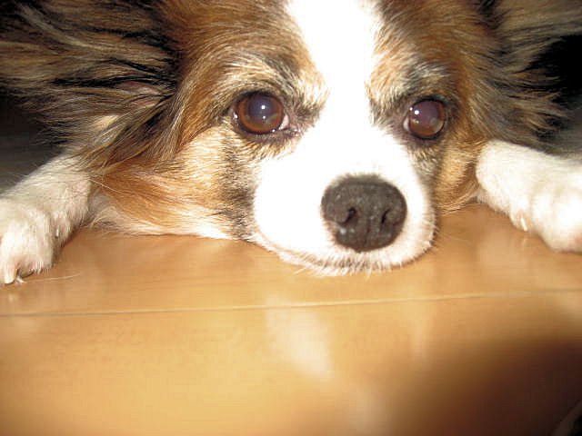 a0149240_17481883.jpg