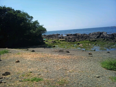a0136943_20142938.jpg