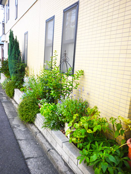 細長い花壇のお手入れ 土作り 花とテーブルblog