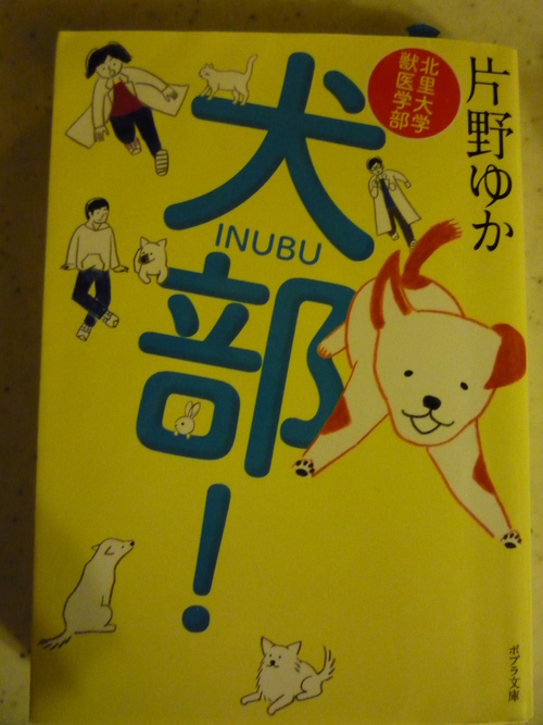 同感!_a0157156_22114232.jpg