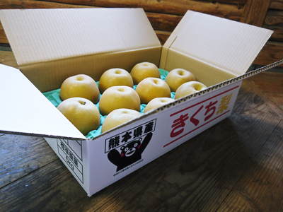 熊本梨 『豊水(ほうすい)』発送開始!!_a0254656_16214918.jpg
