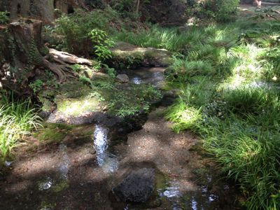f0230467_19415098.jpg