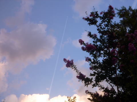 e0161972_8471683.jpg