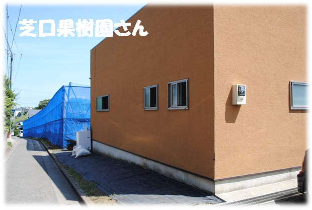 b0242873_014227.png