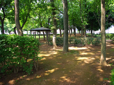 八王子の公園/椚田遺跡公園(後編)_b0123486_14492154.jpg