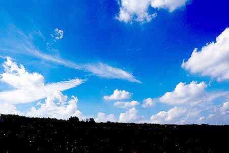 d0085887_67978.jpg