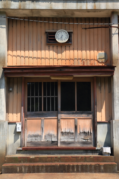 花脊八舛町のルドベキア_e0051888_17202613.jpg