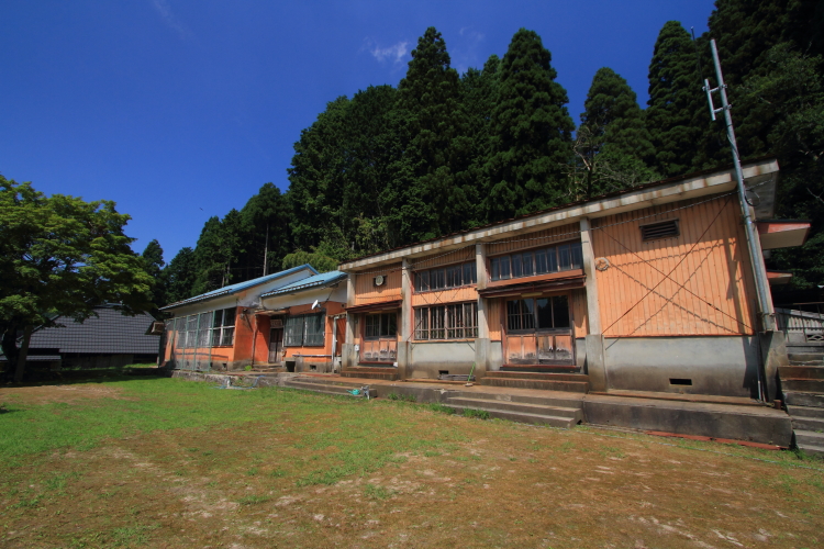 花脊八舛町のルドベキア_e0051888_17203668.jpg