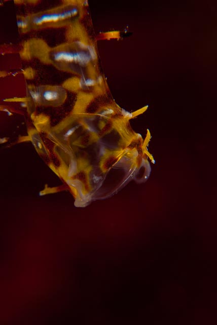 e0064291_4254683.jpg