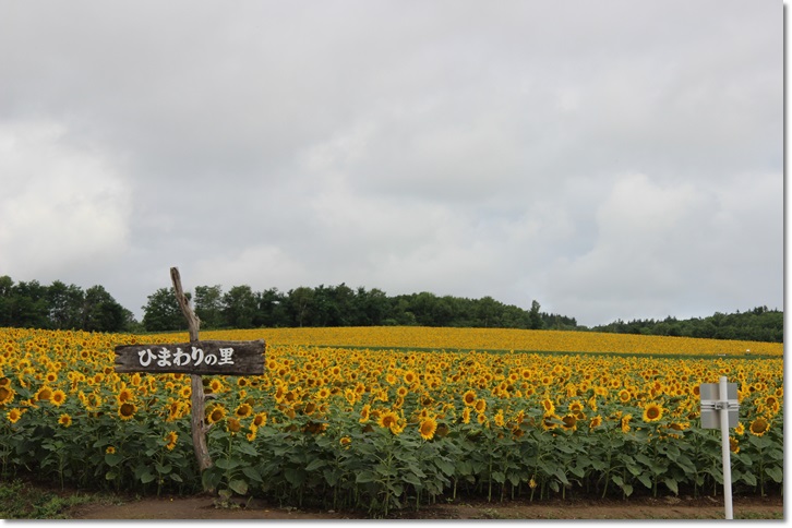f0146493_15399.jpg