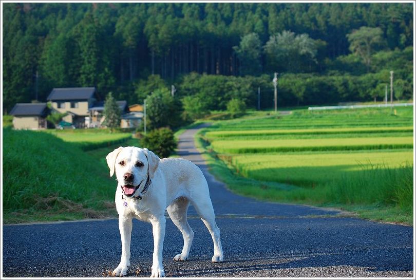 夏の家族旅行～～岐阜へ_d0091700_025368.jpg