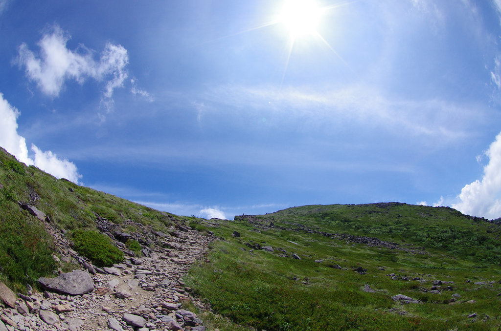 a0158802_2243334.jpg