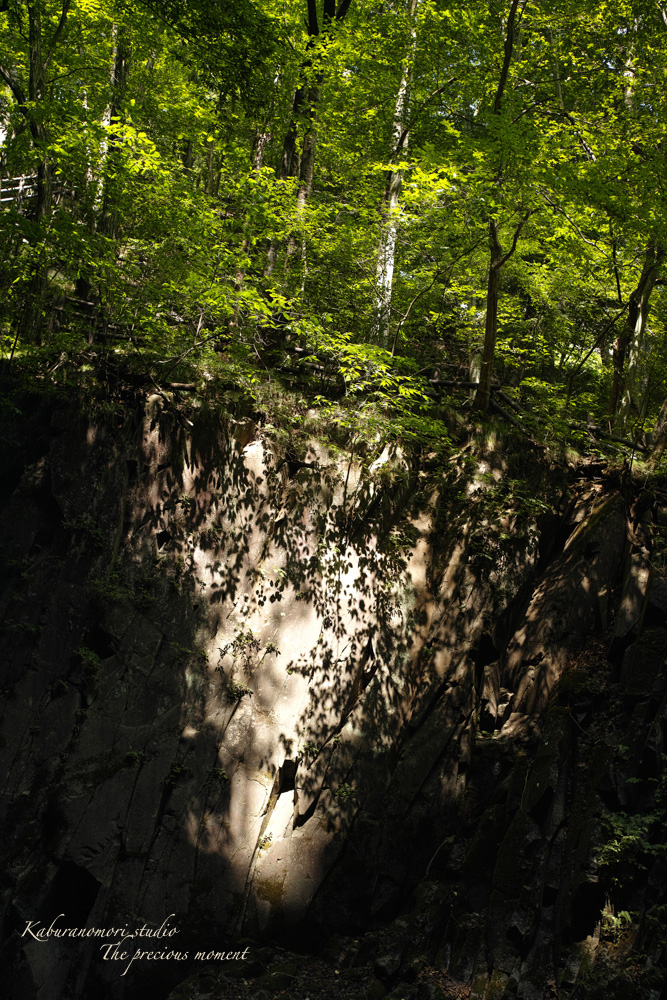 大滝でネッシィーに遭遇!_c0137403_1454161.jpg